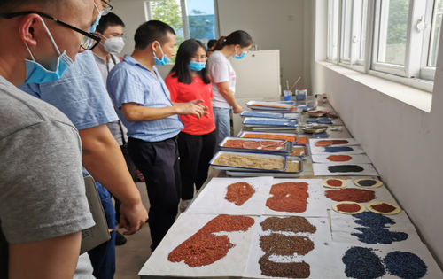 Latest company news about Industry-university-research base of the Materials Department of Chengdu University of Technology, comprehensive cooperation with China Guangdong Building Materials